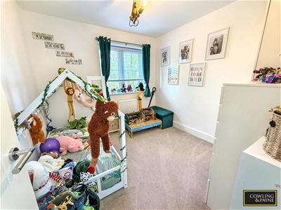 Picture 8